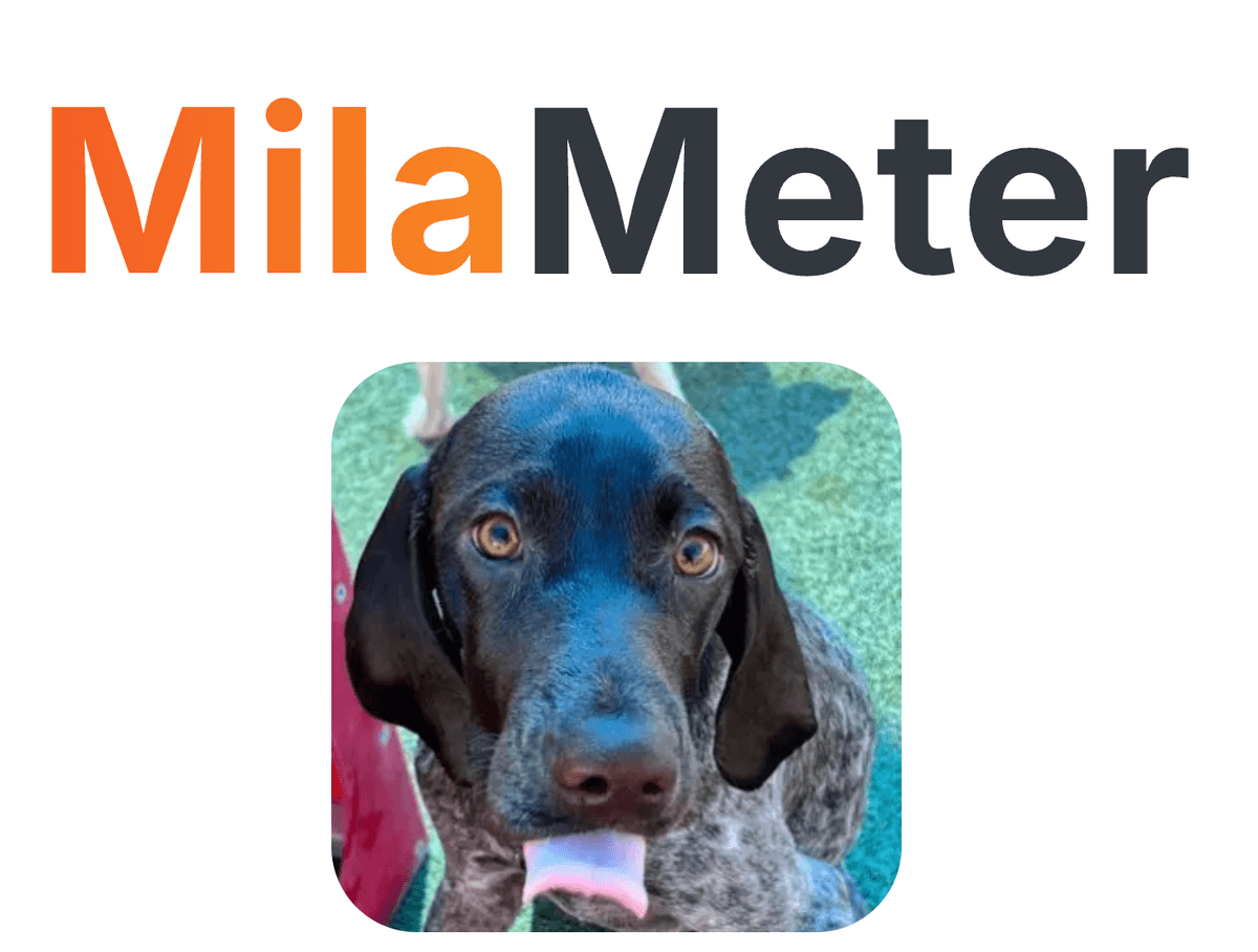 Screenshot from the 'About' page of the Milameter app with a photo of Mila, the dog