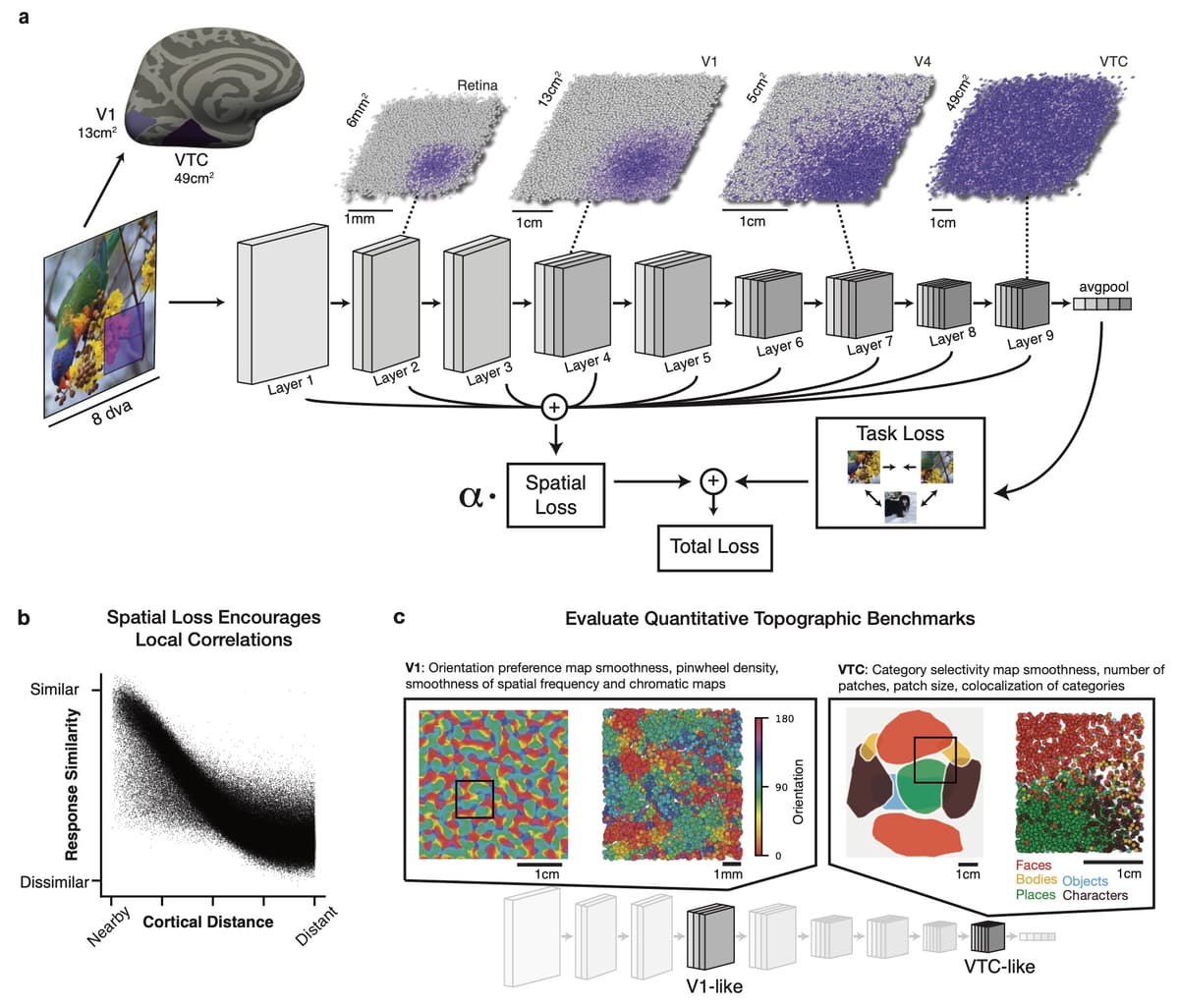TDANN paper figure preview