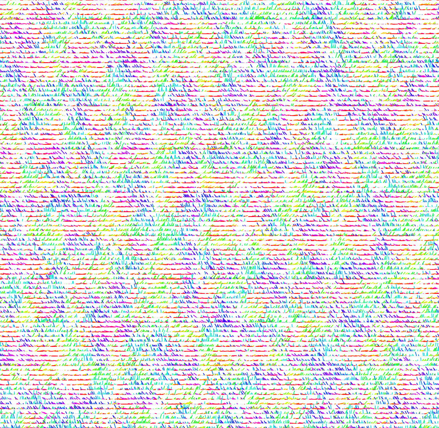 A grid of thousands of line segments, each with a color corresponding to its orientation.